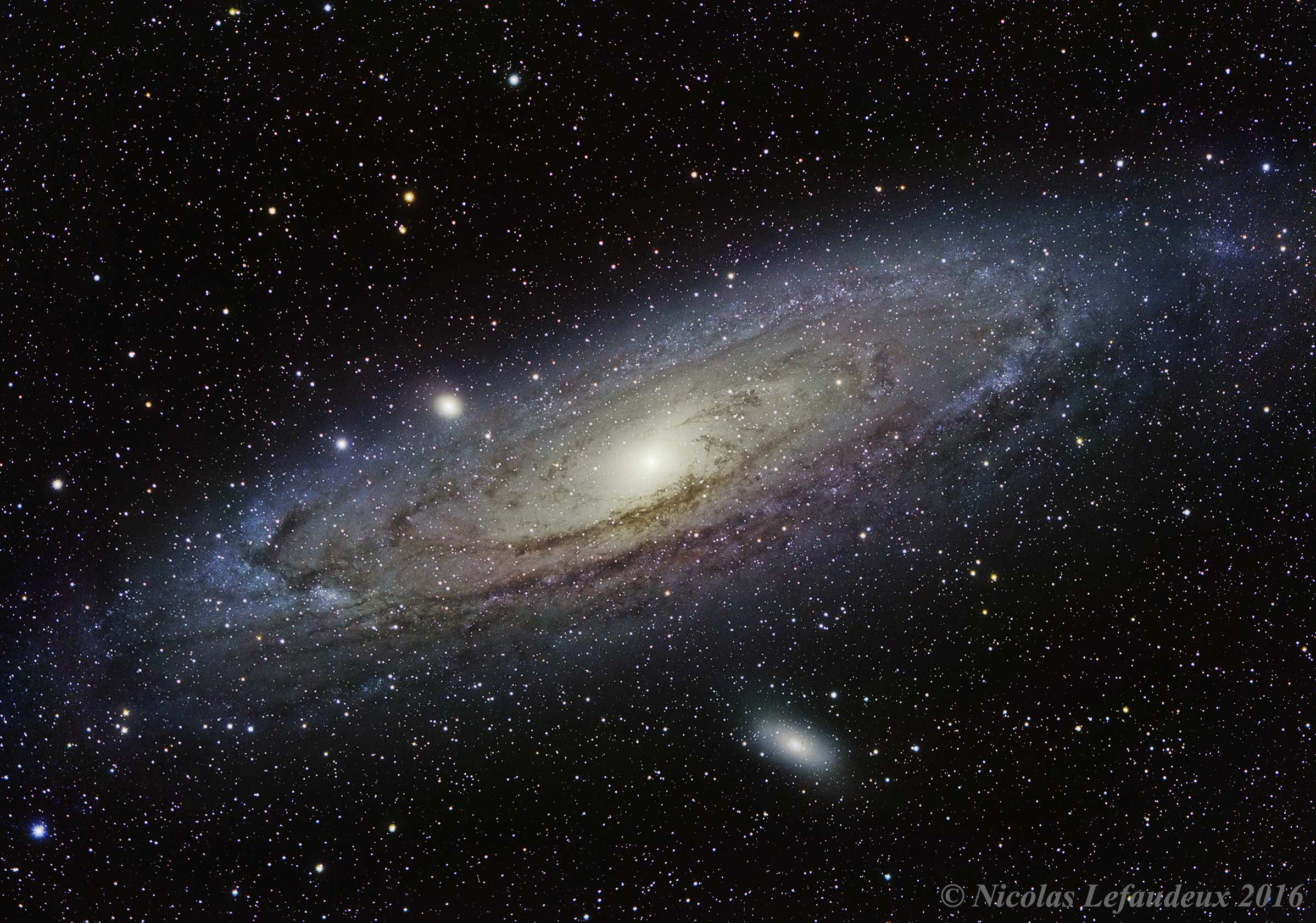 m31